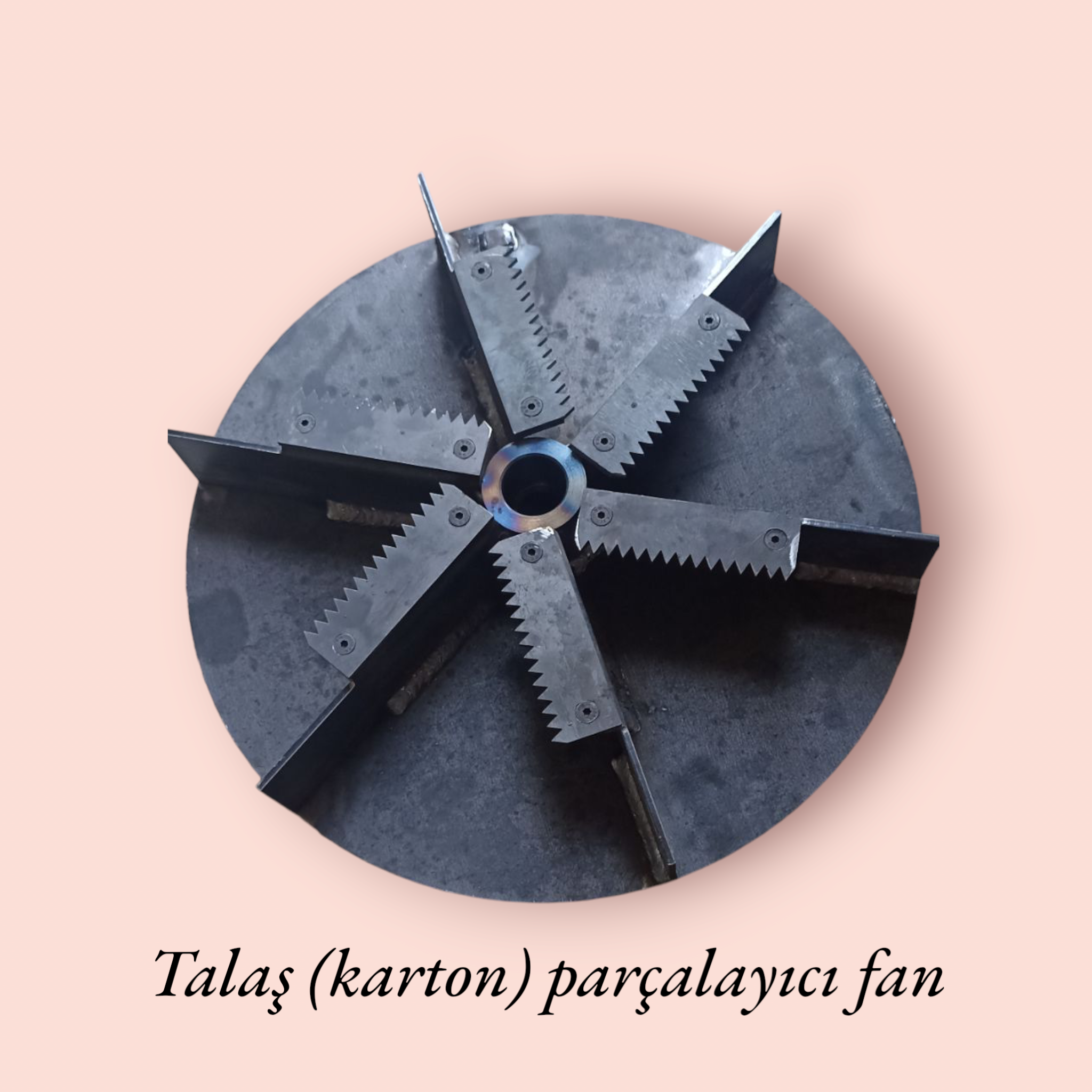 TALAŞ-KAĞIT NAKİL FANLARI