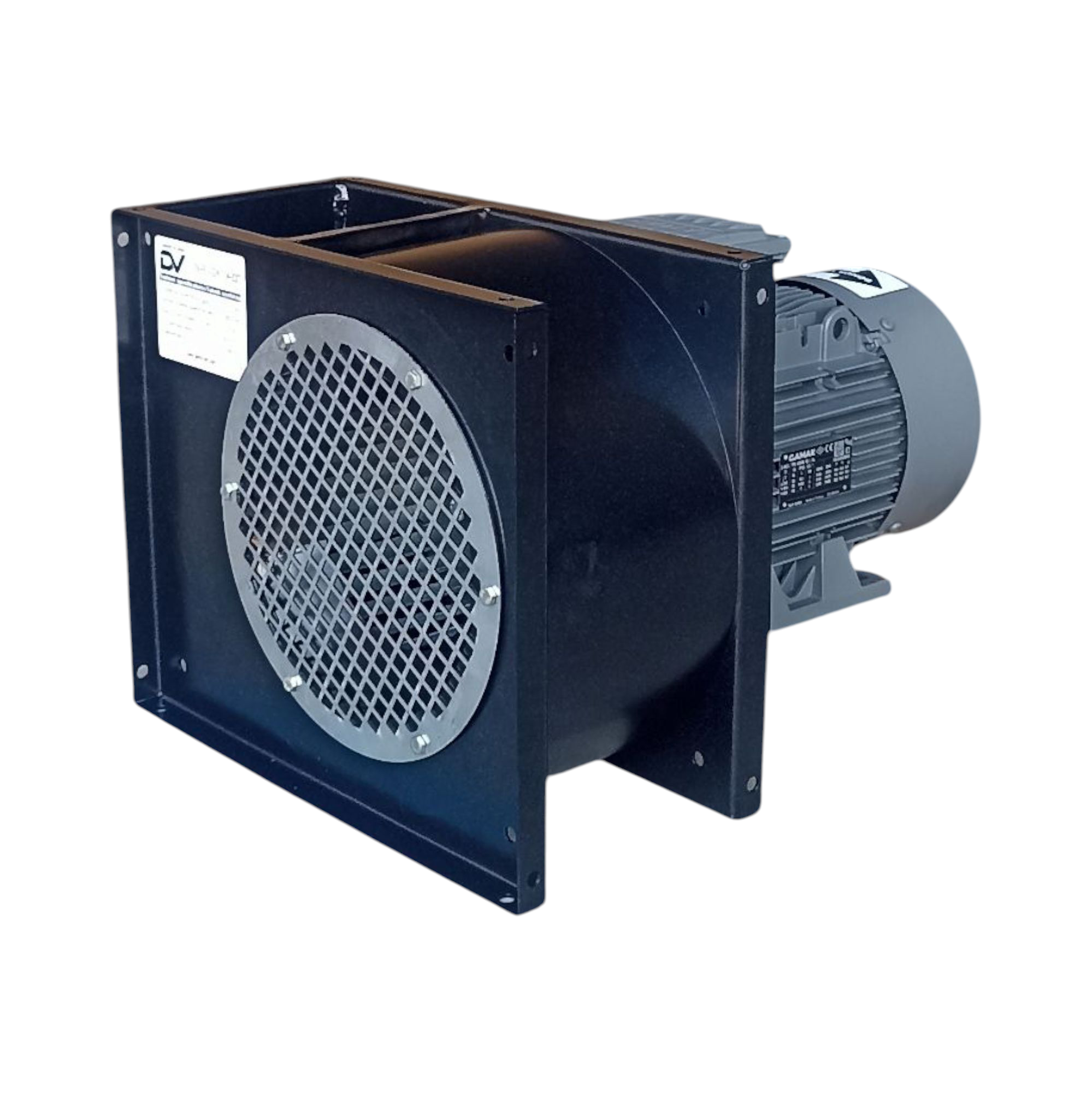 SIK KANATLI SALYANGOZ FANLAR